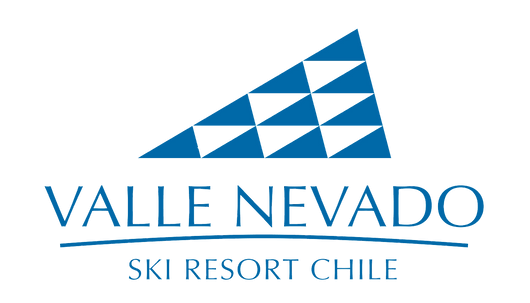 LOGO-VN-BLUE